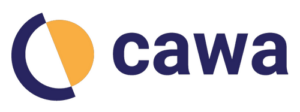 Flow logo